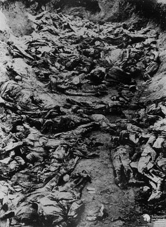蘇聯紅軍湧入波蘭東半部時,20多萬波蘭軍隊繳械投降,2萬2000人被槍決,史稱「卡廷慘案」 (Katyn Massacre),圖/維基