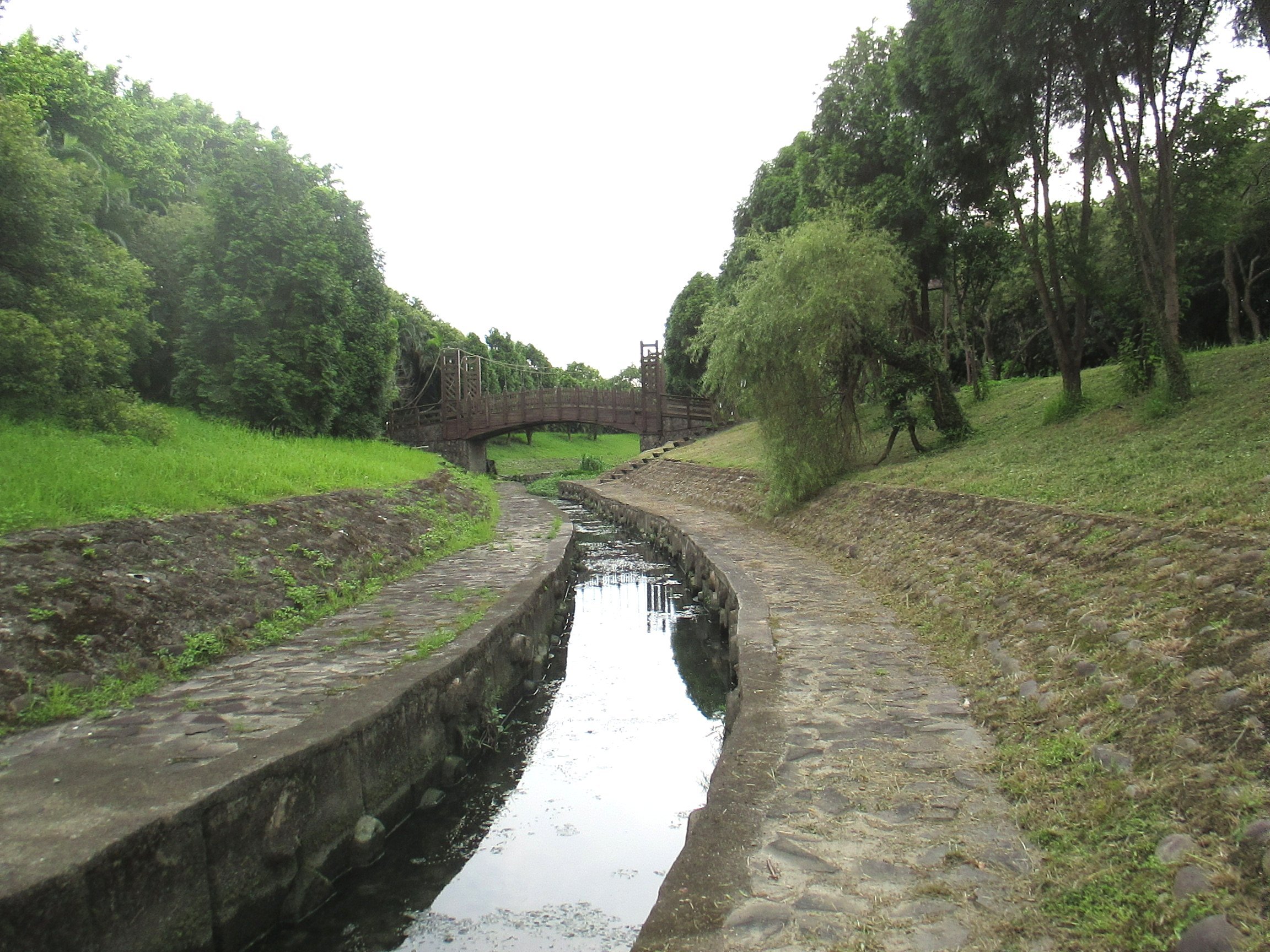 校園內的隆恩河殘道。詹明儒拍攝。
