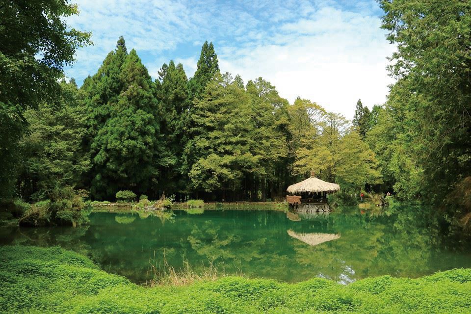 姊妹潭為大小兩座水池，姊潭中利用己砍伐原始檜木大樹頭根，矗立水面作為基礎，建築兩相思亭於其間，
阿里山森林遊樂區，照片提供 /陳志彰。