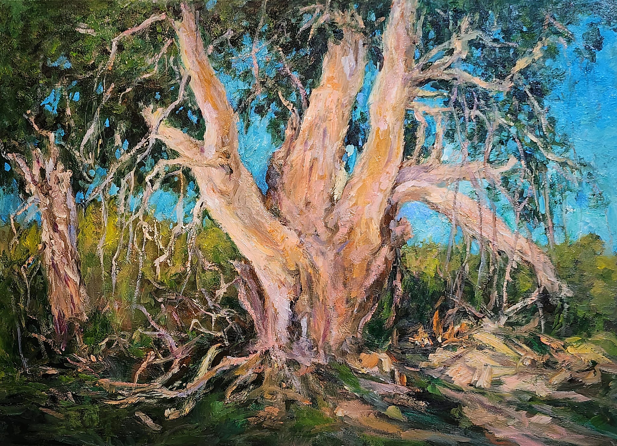 許宜家油畫《沙漠胡楊》30F